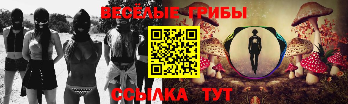 Галлюциногенные грибы мицелий  Галлюциногенные грибы мицелий  Вход с VPN  Старая Купавна 